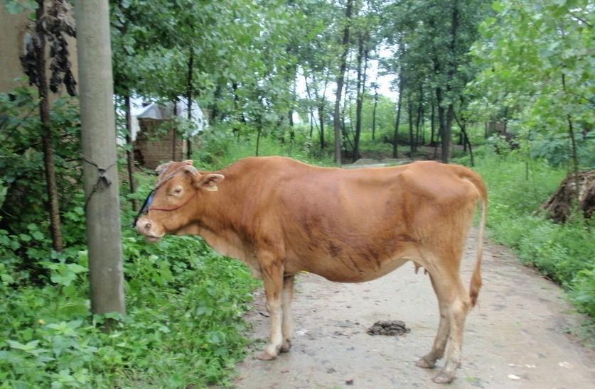 详细阅读:日喀则最新求一个套医保卡的黄牛是真的吗方法分析(最方便真实的日喀则求一个套医保卡的黄牛是真的吗还是假的方法) 日喀则最新求一个套医保卡的黄牛是真的吗方法分析(最方便真实的日喀则求一个套医保卡的黄牛是真的吗还是假的方法)